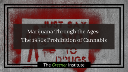 Read more about the article Marijuana Through the Ages: The 1930s Prohibition of Cannabis
